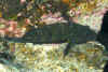 BAJ_6144.JPG (360913 bytes)