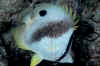 BON_0847.JPG (198788 bytes)