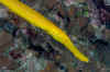 EIS_1793.JPG (201021 bytes)