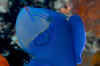 MRX_3233.JPG (139271 bytes)
